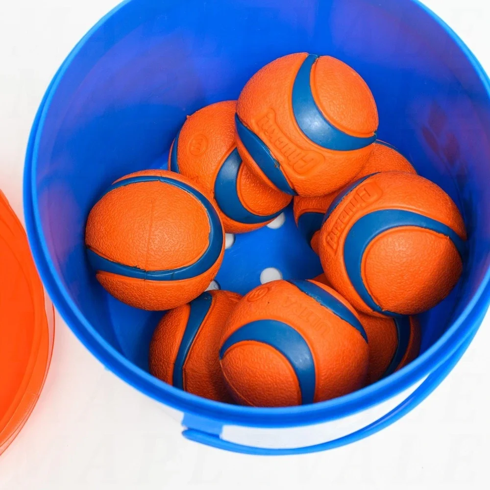 Chuckit! Ultra Ball Dog Toy w/ Chuckit Cleaning Bucket & 8 Medium Fetch Balls